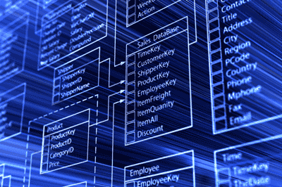Data Schema